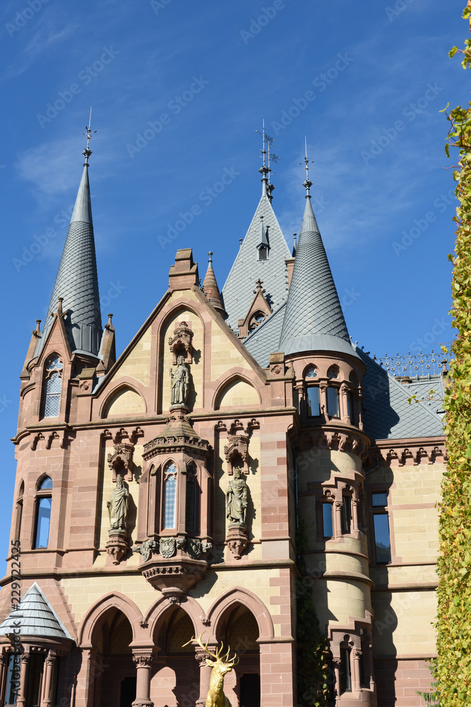 Fototapeta premium drachenburg in bonn königswinter 