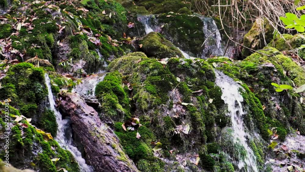 Water flows through the autumn forest Water flows through the autumn forest