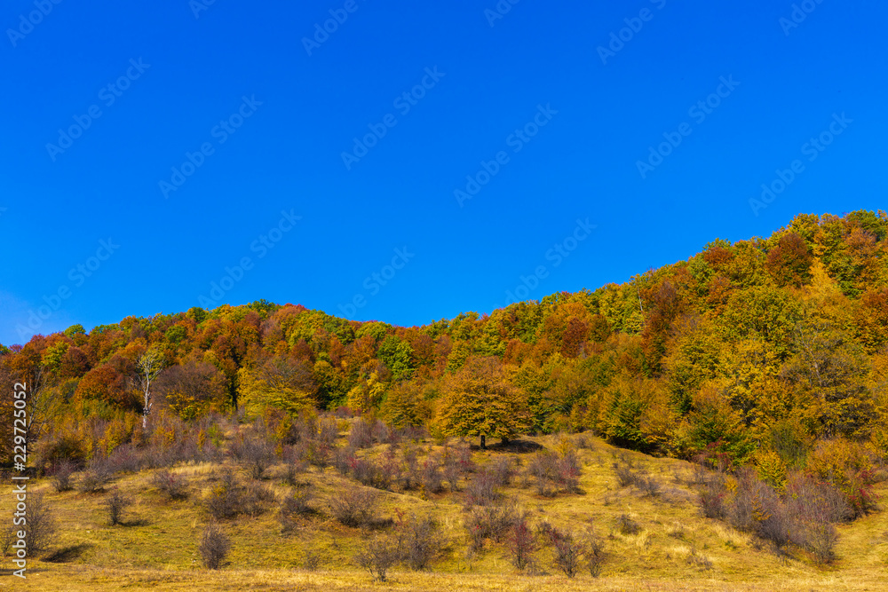 Colorful autumn landscape. Carpathian mountains, Romania, Europe.