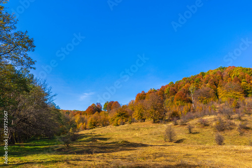 Colorful autumn landscape. Carpathian mountains  Romania  Europe.