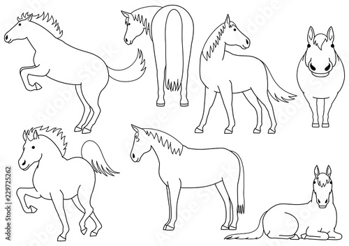 cute horse doodle drawing set