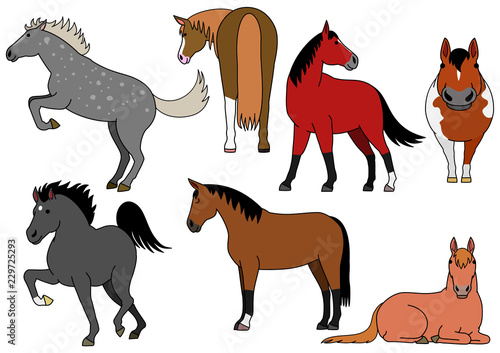 cute horse doodle drawing set