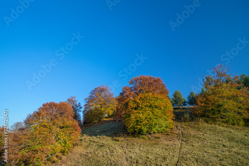 Colorful autumn landscape. Carpathian mountains, Romania, Europe.