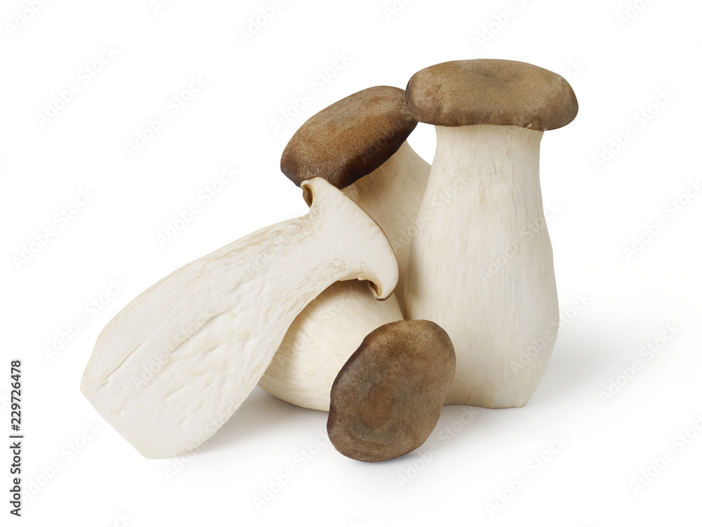 King Oyster mushrooms King Oyster mushrooms
