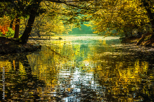 Treelined lake in autumn, Parco di Monza, Monza, Italy