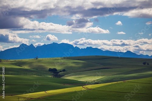 Rolling green agricultural fields with mountains in the background - Caledon, Western Cape - South Africa.
