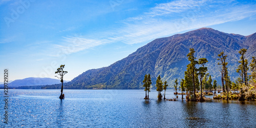 Fotografie Kahikatea Trees in Lake Brunner, West Coast, New Zealand