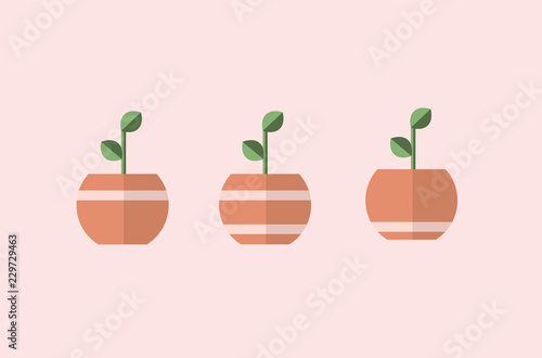 Plant in pots with line. 3 different vectors  simple designs.