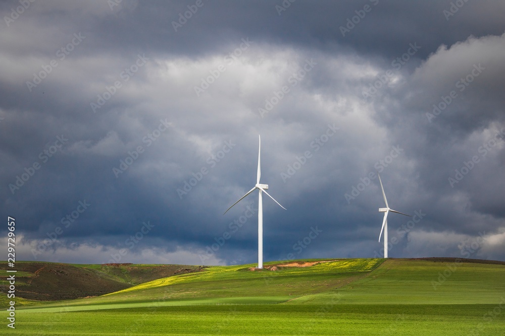 Obraz premium Dramatic thunderstorm over wind turbines in green fields - Caledon, Western Cape, South Africa.