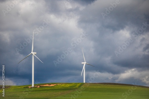 Dramatic thunderstorm over wind turbines in green fields - Caledon, Western Cape, South Africa.