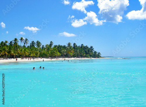 Beautiful caribbean beach on Saona island, Dominican Republic photo