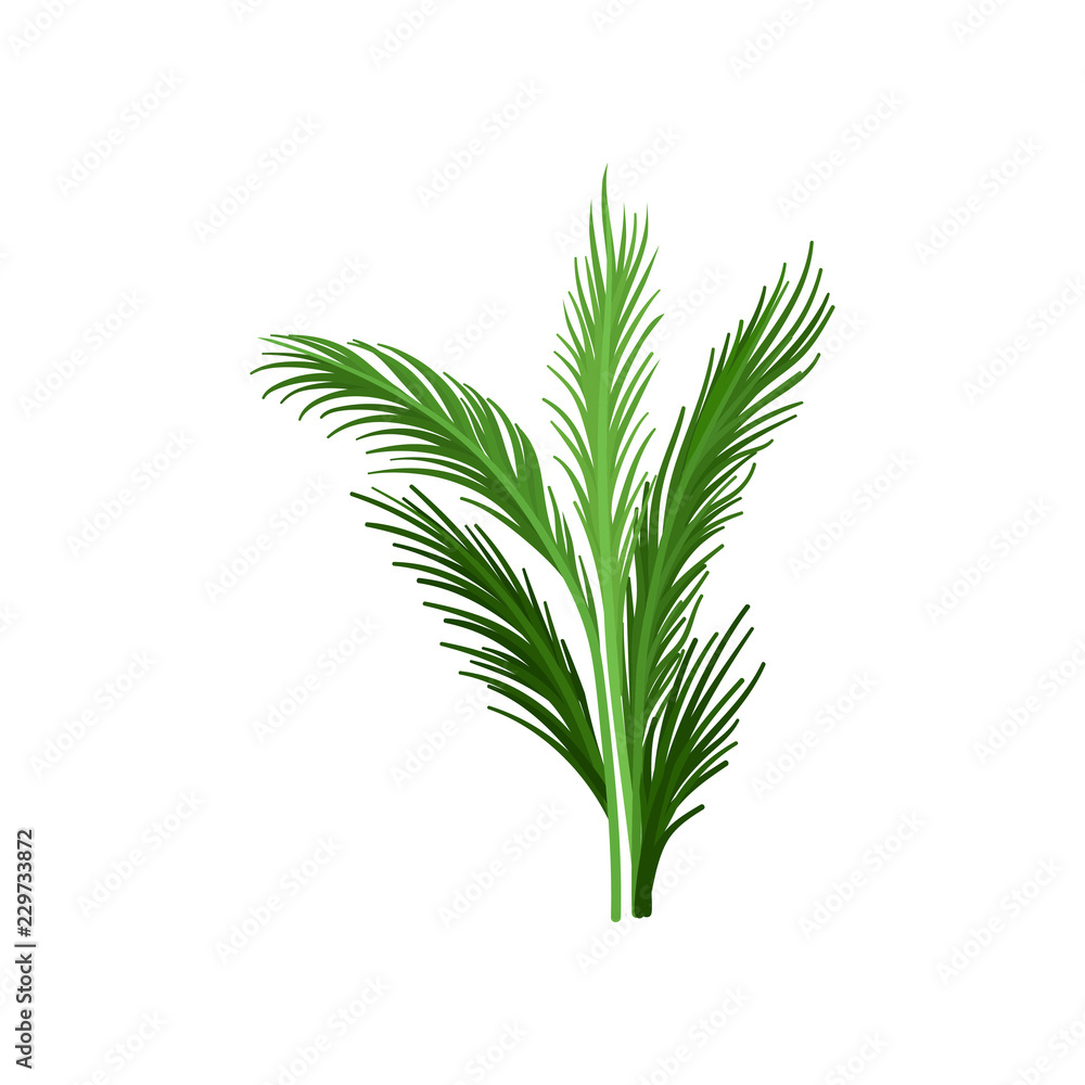 Young palm tree with green pinnate leaves. Tropical plant. Flat vector element for advertising banner or flyer of beach resort Young palm tree with green pinnate leaves. Tropical plant. Flat vector element for advertising banner or flyer of beach resort