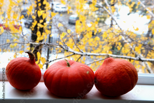 ripe pumpkins on the window