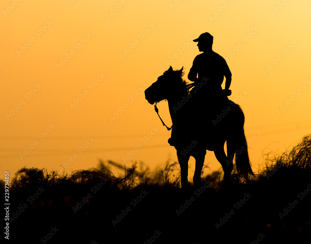 Silhouette of a man on a horse at sunset