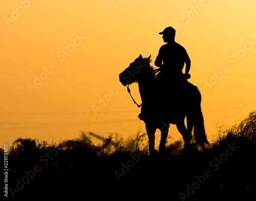 Silhouette of a man on a horse at sunset © schankz