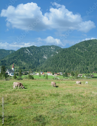 Sankt Ulrich am Pillersee im Pillerseetal nahe Fieberbrunn,Tirol,Österreich © travelpeter