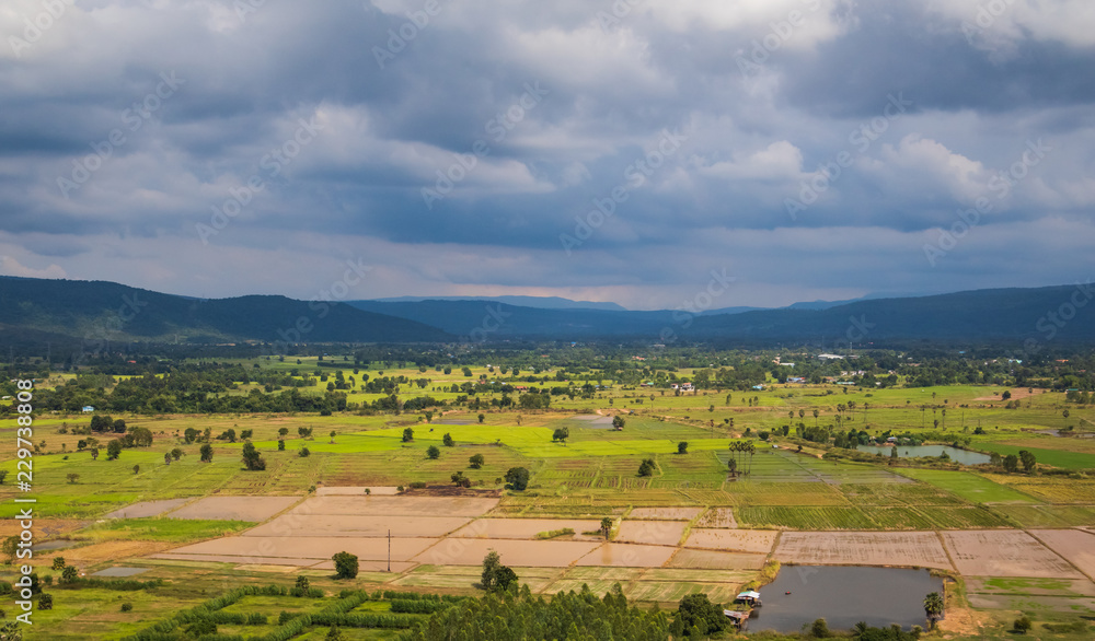 Thailand is a agricultural country.There are many rice fields with the green area.