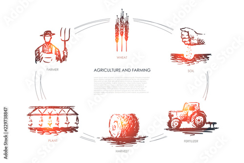 Agriculture and Farming -farmer, soil, wheat, plant, harvest, fertilizer vector concept set photo