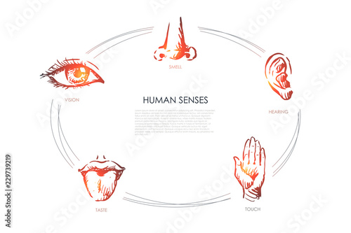 Human senses - vision, taste, touch, hearing, smell vector concept set
