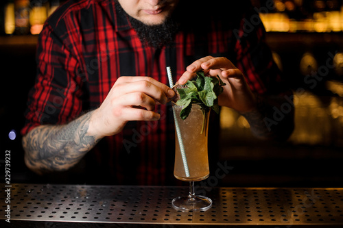 Tattooed barman decorating tasty Sherry Cobbler drink in a cocktail glass with mint leaves photo
