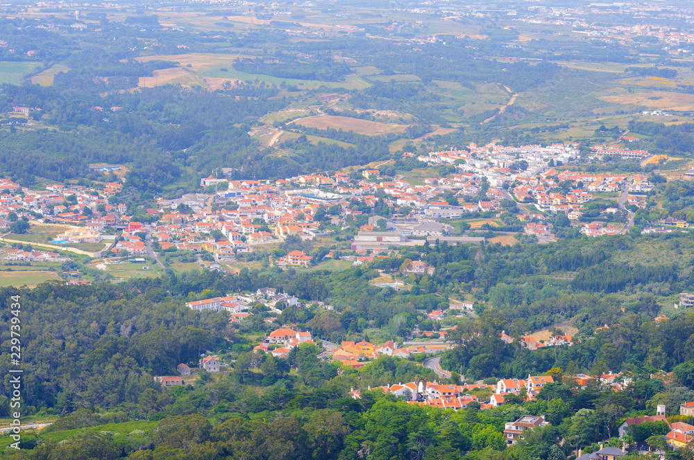 View to the towns and forest