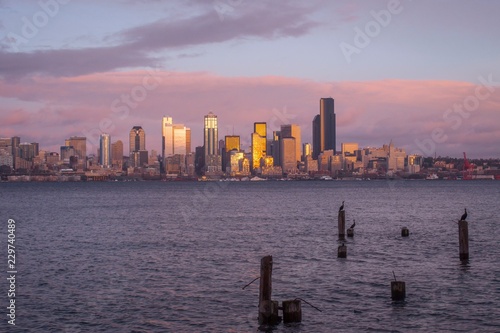 Seattle at sunrise with birds on pilings in foreground photo