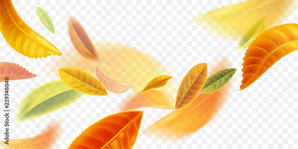 Autumn background. Autumn leaves in motion are isolated on a transparent background. Templates for placards, banners, flyers, presentations, reports. Vector illustration. - obrazy, fototapety, plakaty 