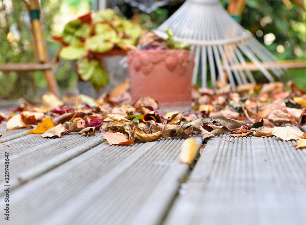close on dry  leaves on the floor of a wooden terrace in autumn