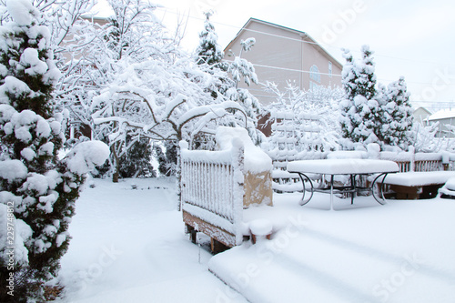 Garden and patio after snowfall.