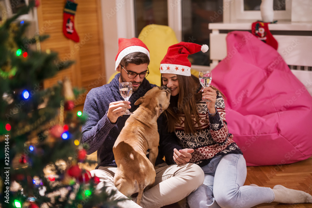 Happy couple drinking champagne and playing with their dog while sitting on the floor. Christmas holidays concept.