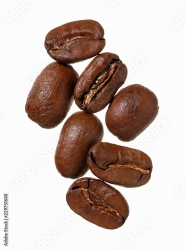 Maragogype Arabica coffee beans, Guatemala photo