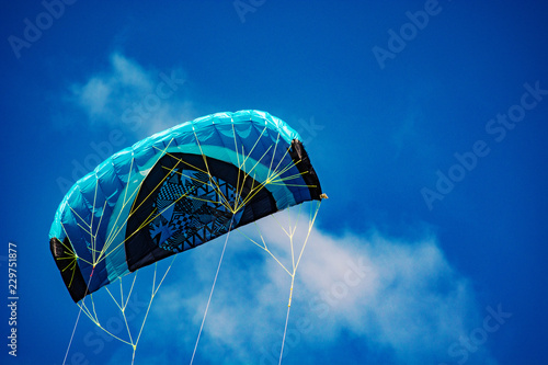 Canvastavla kite in the sky