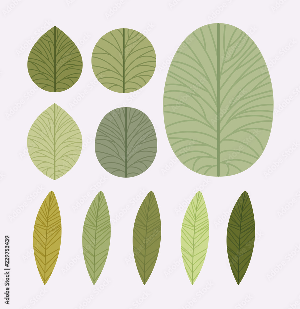 Obraz premium set of leafs plants