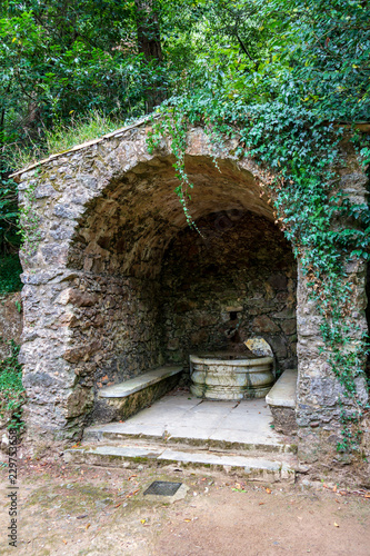 Fototapeta Naklejka Na Ścianę i Meble -  Old well on the grounds of the Bussaco Palace park