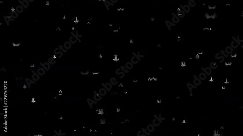 Moths flying against a black background.  photo