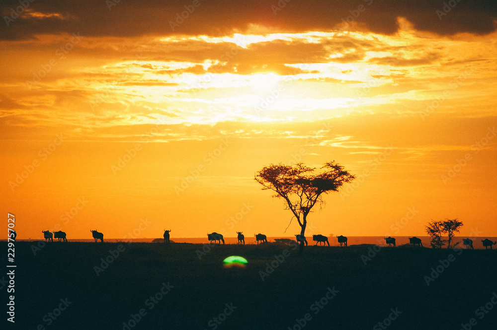 Sun down in the Serengeti