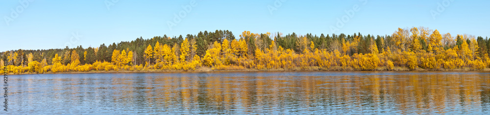 Beautiful panoramic view of the bank of the Irkut River with yellowed trees in the coastal forest on an autumn windy sunny day