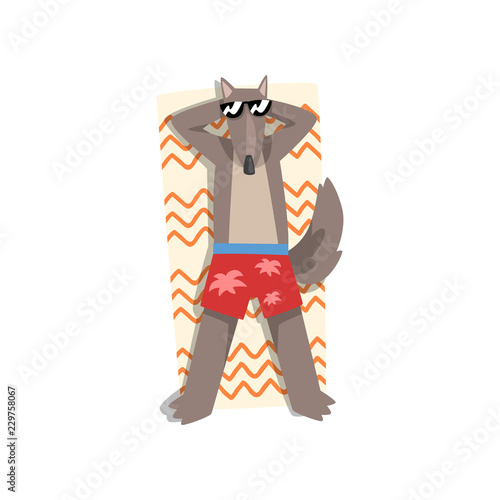 Wolf in sunglasses sunbathing on the beach, cute animal cartoon character relaxing on the seashore at summer vacation vector Illustration on a white background
