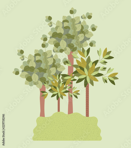 natural forest landscape scene