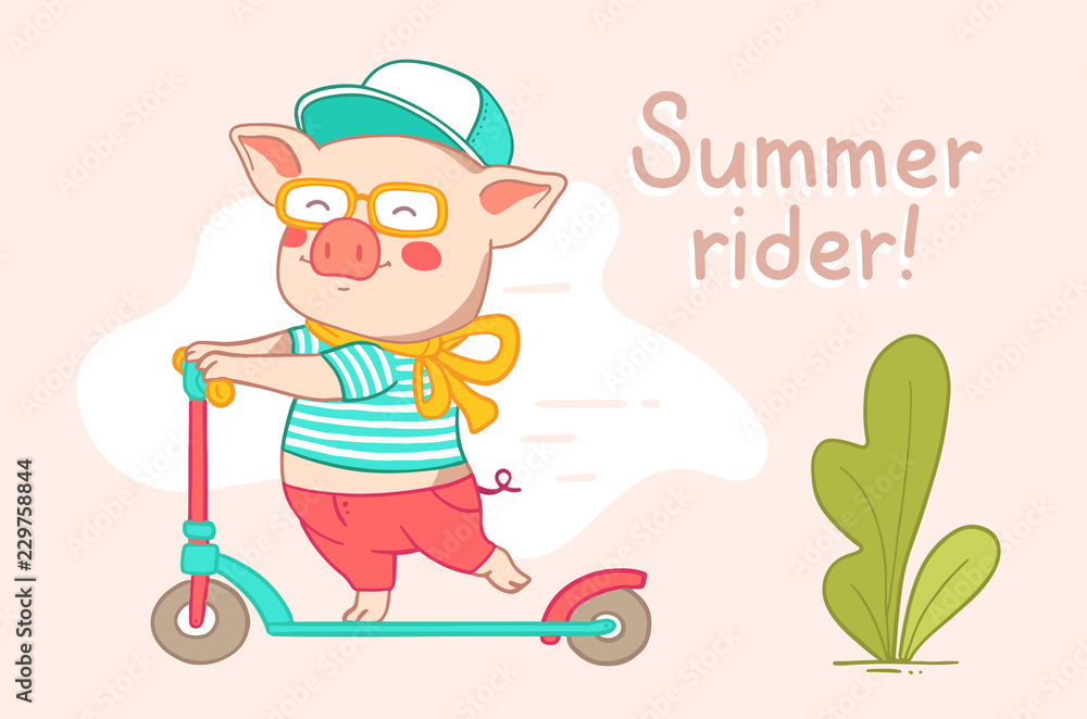 Color flat style design of urban character rider pig for web, site, banner, poster, greeting card. Color flat style design of urban character rider pig for web, site, banner, poster, greeting card.