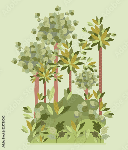 natural forest landscape scene