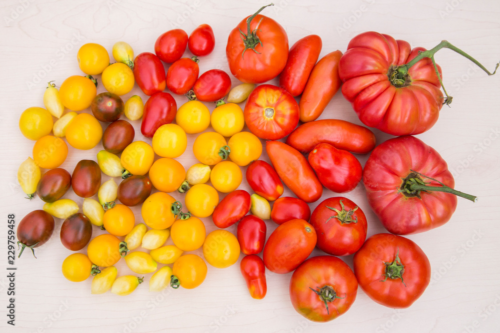 organic tomatoes background