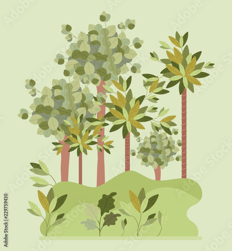 natural forest landscape scene