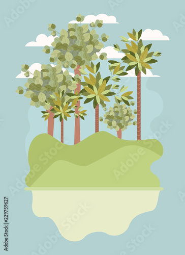 natural forest landscape scene