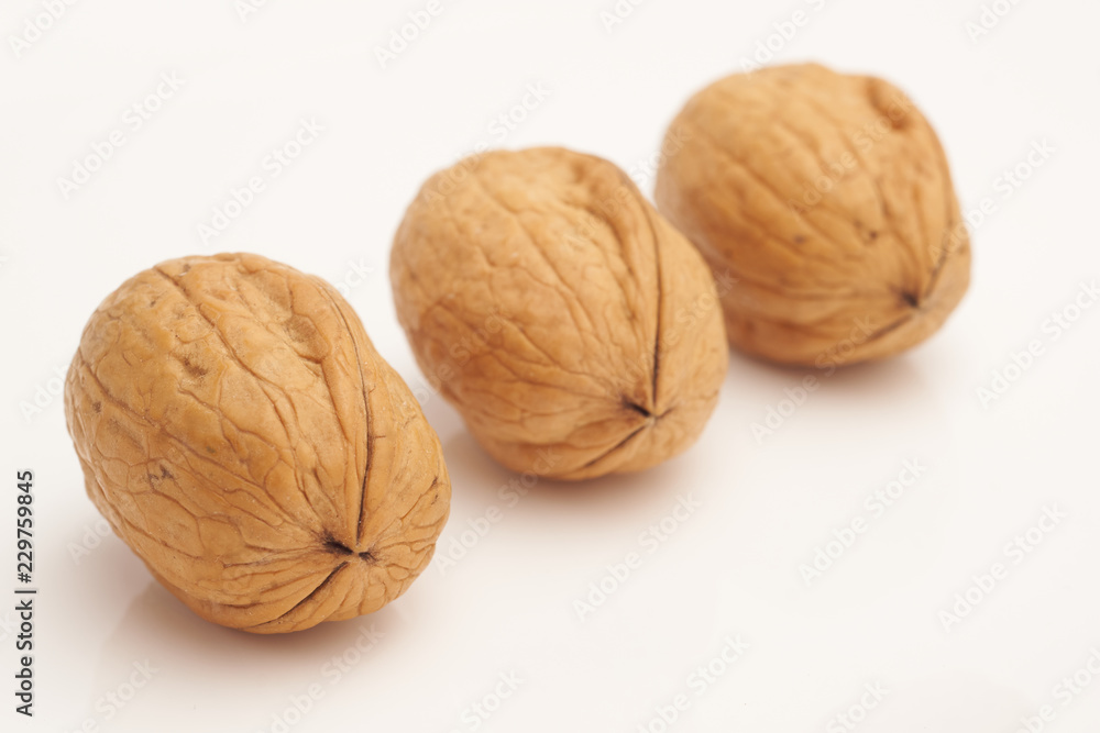 Walnut on white background macro Walnut on white background macro
