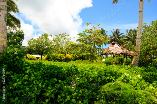 Tropical island jungle in Oceania with traditional primitive architecture of Polynesian aborigines, South Pacific Ocean