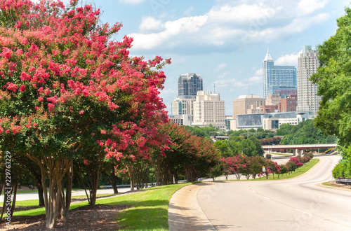 Looking towards the downtown Raleigh skyline with beautiful Crepe Myrtle trees in bloom.