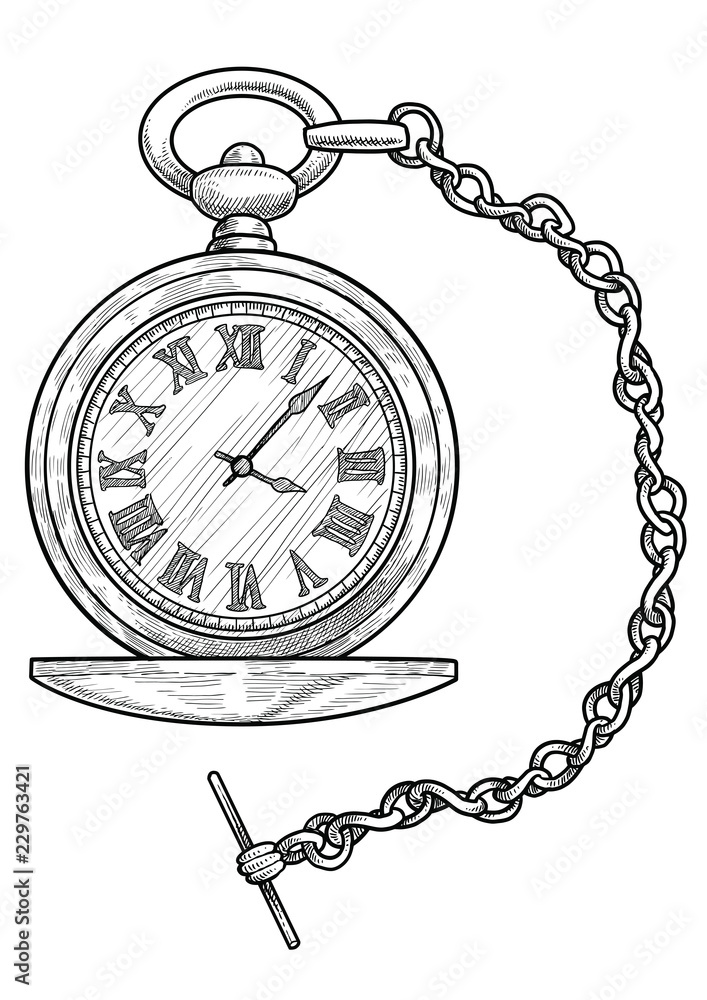 Pocket watch illustration, drawing, engraving, ink, line art, vector