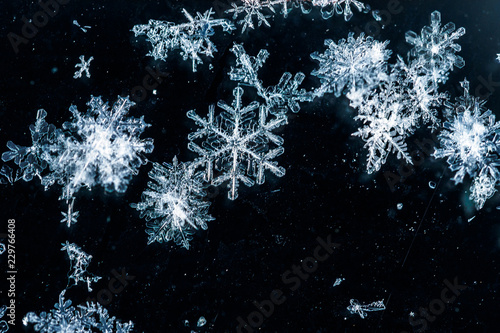 fragment of snow texture Snowflakes close-up. crystal clear ice. macro photo. winter. shallow depth of field. Christmas background for layout. christmas theme.