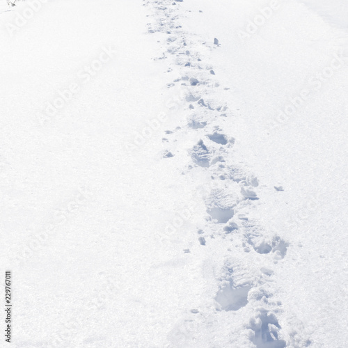 snow trail close up. hiking in the mountains in winter. huge drifts. hard walk in the winter peroid